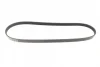 Ремінь генератора Mazda 626 1.8-2.2 86-96/Opel Kadett 1.6 86-94/Ford Escort 1.8D 88-95 (5PK1010) 1 987 947 921 BOSCH 1-987-947-921 (фото 4)