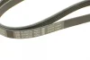 Ремінь генератора поліклиновий Renault Kangoo 1.4i 98-/ 1.6i 02- (5PK1110) 1 987 947 926 BOSCH 1-987-947-926 (фото 3)