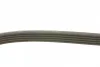 Ремінь генератора поліклиновий Renault Kangoo 1.4i 98-/ 1.6i 02- (5PK1110) 1 987 947 926 BOSCH 1-987-947-926 (фото 6)