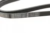 Ремінь генератора Renault Trafic/Master/Laguna/Opel Movano/Vivaro 1.9dCi 01- (5PK1125) 1 987 947 927 BOSCH 1-987-947-927 (фото 2)