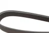 Ремінь генератора Renault Trafic/Master/Laguna/Opel Movano/Vivaro 1.9dCi 01- (5PK1125) 1 987 947 927 BOSCH 1-987-947-927 (фото 4)