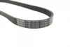 Ремінь генератора Toyota Auris/Yaris 1.33VVTi 08-12/Nissan Micra 1.0/1.3 92-00 (6PK884) 1 987 947 933 BOSCH 1-987-947-933 (фото 3)