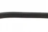 Ремінь генератора VW Caddy/Golf/Skoda Octavia 1.6/2.0 04-15/Fiat Ducato 2.5TDI 94-02/Scudo 1.6 96-06 1 987 947 936 BOSCH 1-987-947-936 (фото 4)