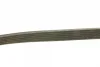 Ремінь генератора VW T4/Caddy 1.9D/TD 90-03/Toyota Corolla/Auris 1.4D 06-14/Kia Rio 1.25 17- (6PK923) 1 987 947 938 BOSCH 1-987-947-938 (фото 3)