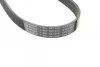 Ремінь генератора Citroen Jumper/Fiat Ducato 2.8HDi/JTD 00- (ALT,WP) (6PK995) 1 987 947 939 BOSCH 1-987-947-939 (фото 3)