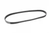 Ремінь генератора Citroen Jumper/Fiat Ducato 2.8HDi/JTD 00- (ALT,WP) (6PK995) 1 987 947 939 BOSCH 1-987-947-939 (фото 5)