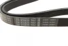 Ремінь генератора VW Golf III/Passat/T4 1.9D/TD 90-04/Opel Corsa F 1.2 19-/Fiat Scudo 1.9D 98-06 1 987 947 940 BOSCH 1-987-947-940 (фото 2)