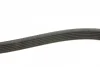 Ремінь генератора Renault Master 2.5dCi (-AC) (6PK1145) 1 987 947 943 BOSCH 1-987-947-943 (фото 2)