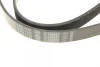 Ремінь генератора Renault Master 2.5dCi (-AC) (6PK1145) 1 987 947 943 BOSCH 1-987-947-943 (фото 4)