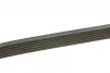 Ремінь генератора Fiat Ducato/Citroen Jumper 1.9D/TD 94-/Renault Trafic 2.5dCI 03- (6PK1153) 1 987 947 944 BOSCH 1-987-947-944 (фото 2)