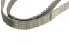 Ремінь генератора Fiat Ducato/Citroen Jumper 1.9D/TD 94-/Renault Trafic 2.5dCI 03- (6PK1153) 1 987 947 944 BOSCH 1-987-947-944 (фото 3)