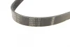 Ремінь генератора Citroen Jumper/Fiat Ducato/Peugeot Boxer 2.0/2.2HDi/JTD 02- (6PK1180) 1 987 947 946 BOSCH 1-987-947-946 (фото 2)