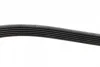 Ремінь генератора Citroen Jumper/Fiat Ducato/Peugeot Boxer 2.0/2.2HDi/JTD 02- (6PK1180) 1 987 947 946 BOSCH 1-987-947-946 (фото 4)