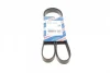 Ремінь генератора Ford Connect (-AC)/Opel Combo 1.2/1.4i -01 (6PK1460) 1 987 947 948 BOSCH 1-987-947-948 (фото 1)
