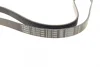 Ремінь генератора Ford Connect (-AC)/Opel Combo 1.2/1.4i -01 (6PK1460) 1 987 947 948 BOSCH 1-987-947-948 (фото 2)