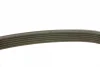 Ремінь генератора поліклиновий VW T5/Amarok 2.0TDI 09-/Ford Focus/Kuga/Galaxy 98-/Opel Astra J/Insignia A 1.6 08- (6PK1555) 1 987 947 949 BOSCH 1-987-947-949 (фото 3)