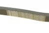 Ремінь генератора поліклиновий VW T5/Amarok 2.0TDI 09-/Ford Focus/Kuga/Galaxy 98-/Opel Astra J/Insignia A 1.6 08- (6PK1555) 1 987 947 949 BOSCH 1-987-947-949 (фото 4)