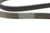 Ремінь генератора Opel Vectra 1.8-2.2 86-03/Audi A6 2.5TDI 94-97/Chevrolet Lacetti 1.8 05- (6PK1725) 1 987 947 952 BOSCH 1-987-947-952 (фото 3)