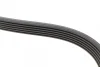 Ремінь генератора Opel Vectra 1.8-2.2 86-03/Audi A6 2.5TDI 94-97/Chevrolet Lacetti 1.8 05- (6PK1725) 1 987 947 952 BOSCH 1-987-947-952 (фото 4)