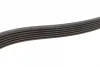 Ремінь генератора Renault Trafic/Master/Laguna/Opel Movano/Vivaro 1.9/2.5dCi/dTi 01- (6PK1795) 1 987 947 953 BOSCH 1-987-947-953 (фото 3)