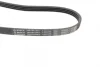 Ремінь генератора Hyundai i10/i20/i30 1.1/1.6CRDi 08-13/Fiat Doblo/Punto/Stilo 1.2/1.4 01- (4PK673) 1 987 947 961 BOSCH 1-987-947-961 (фото 3)