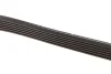 Ремінь генератора Fiat Scudo/Citroen Berlingo/VW Golf IV 1.8/1.9TDI 97- (6PK1660) 1 987 947 978 BOSCH 1-987-947-978 (фото 3)
