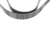Ремінь генератора Ford Connect 1.8TDCI (6PK1413) 1 987 947 980 BOSCH 1-987-947-980 (фото 2)