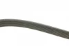 Ремінь генератора VW LT/T4 2.5TDI 96-06/Peugeot Expert 1.9D/2.0HDI 98- (6PK1750) 1 987 947 981 BOSCH 1-987-947-981 (фото 2)