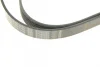 Ремінь генератора VW LT/T4 2.5TDI 96-06/Peugeot Expert 1.9D/2.0HDI 98- (6PK1750) 1 987 947 981 BOSCH 1-987-947-981 (фото 4)