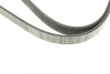Ремінь генератора VW LT/T4 2.5TDI 96-06/Peugeot Expert 1.9D/2.0HDI 98- (6PK1750) 1 987 947 981 BOSCH 1-987-947-981 (фото 5)