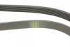 Ремінь генератора VW LT 2.8TDI 01-06/Volvo 850/S70/S80/V70 2.5TDI 95-06/Opel Astra 1.6 12- (6PK1685) 1 987 947 986 BOSCH 1-987-947-986 (фото 4)