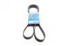 Ремінь генератора Citroen Berlingo 1.6HDi 05-11/Jumpy 2.0 00-06 (6PK1705) 1 987 947 989 BOSCH 1-987-947-989 (фото 1)