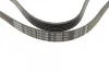 Ремінь генератора Citroen Berlingo 1.6HDi 05-11/Jumpy 2.0 00-06 (6PK1705) 1 987 947 989 BOSCH 1-987-947-989 (фото 2)