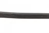 Ремінь генератора Citroen Berlingo 1.6HDi 05-11/Jumpy 2.0 00-06 (6PK1705) 1 987 947 989 BOSCH 1-987-947-989 (фото 3)