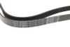 Ремінь генератора MB W140/211 M113/119/ Audi A4/A5 3.0TDI 04- (6PK2460) 1 987 947 990 BOSCH 1-987-947-990 (фото 2)