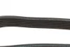 Ремінь генератора Mazda 3 1.3/1.6 03-09 (6PK2013) 1 987 947 994 BOSCH 1-987-947-994 (фото 4)