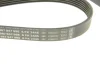 Ремінь генератора MB E-class (W211) 5.5 02-08 (M113)/Land Rover Range Rover 5.0SCV8 13- (6PK2445) 1 987 947 998 BOSCH 1-987-947-998 (фото 4)