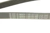 Ремінь генератора MB E-class (W211) 5.5 02-08 (M113)/Land Rover Range Rover 5.0SCV8 13- (6PK2445) 1 987 947 998 BOSCH 1-987-947-998 (фото 5)