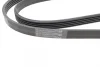 Ремінь генератора Fiat Bravo I 1.2 16V (182_) 95-01 (+AC) (5PK1588) 1 987 948 310 BOSCH 1-987-948-310 (фото 2)