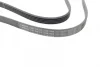 Ремінь генератора Fiat Bravo I 1.2 16V (182_) 95-01 (+AC) (5PK1588) 1 987 948 310 BOSCH 1-987-948-310 (фото 3)