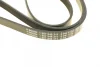 Ремінь генератора MB A-class (W168) 01-04/Vaneo 1.7CDI 02-05 (5PK1720) 1 987 948 311 BOSCH 1-987-948-311 (фото 5)