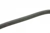 Ремінь генератора Suzuki Grand Vitara 2.5 V6 24V/2.7 01-03/Vitara 2.0 V6 24V 94-98 (4PK1090) 1 987 948 312 BOSCH 1-987-948-312 (фото 3)
