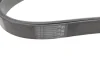 Ремінь генератора Jeep Cherokee 2.5Tdi 4x4 96-01/Opel Frontera A 2.5TDS 96-98 (8PK2188) 1 987 948 314 BOSCH 1-987-948-314 (фото 2)