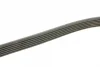 Ремінь генератора Fiat Doblo1.3-1.6 D 10-/Opel Astra F/Corsa B/Vectra B 1.4-1.8/ 94-03 (6PK1530) 1 987 948 315 BOSCH 1-987-948-315 (фото 3)
