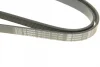 Ремінь генератора Fiat Doblo1.3-1.6 D 10-/Opel Astra F/Corsa B/Vectra B 1.4-1.8/ 94-03 (6PK1530) 1 987 948 315 BOSCH 1-987-948-315 (фото 4)
