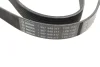 Ремінь генератора Renault Megane/Scenic 1.9dCi/2.0 03-/Nissan Juke 1.6 10- (7PK1122) 1 987 948 317 BOSCH 1-987-948-317 (фото 3)