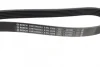 Ремінь генератора Fiat Doblo 1.3D Multijet/1.3JTD/Ford Focus 1.8/2.0 04- (6PK1306) 1 987 948 343 BOSCH 1-987-948-343 (фото 3)