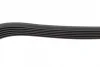 Ремінь генератора Fiat Doblo 1.3D Multijet/1.3JTD/Ford Focus 1.8/2.0 04- (6PK1306) 1 987 948 343 BOSCH 1-987-948-343 (фото 4)
