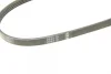 Ремінь генератора Suzuki Baleno 95-02/ Toyota Auris/Verso 1.3-1.6 i 10- (4PK900) 1 987 948 349 BOSCH 1-987-948-349 (фото 4)