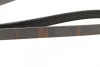 Ремінь генератора Citroen Berlingo/Jumpy/Fiat Scudo/Peugeot Partner 1.9D 98-/Hyundai Accent 02-05 1 987 948 353 BOSCH 1-987-948-353 (фото 2)